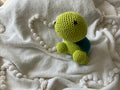The “Slow & Steady Pal” Turtle