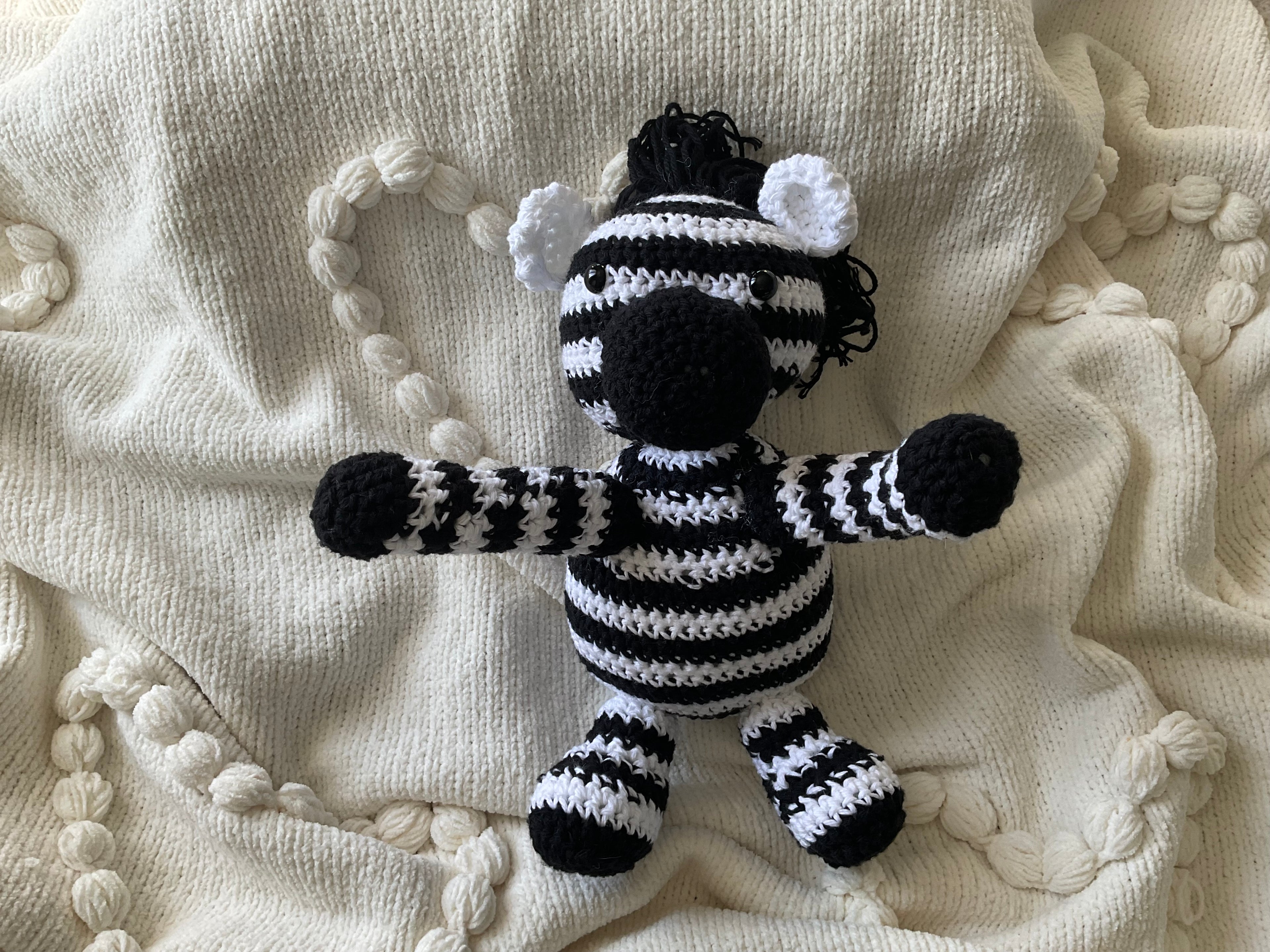 The “Safari Star” Zebra