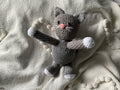 The “Purr-fect” Cat