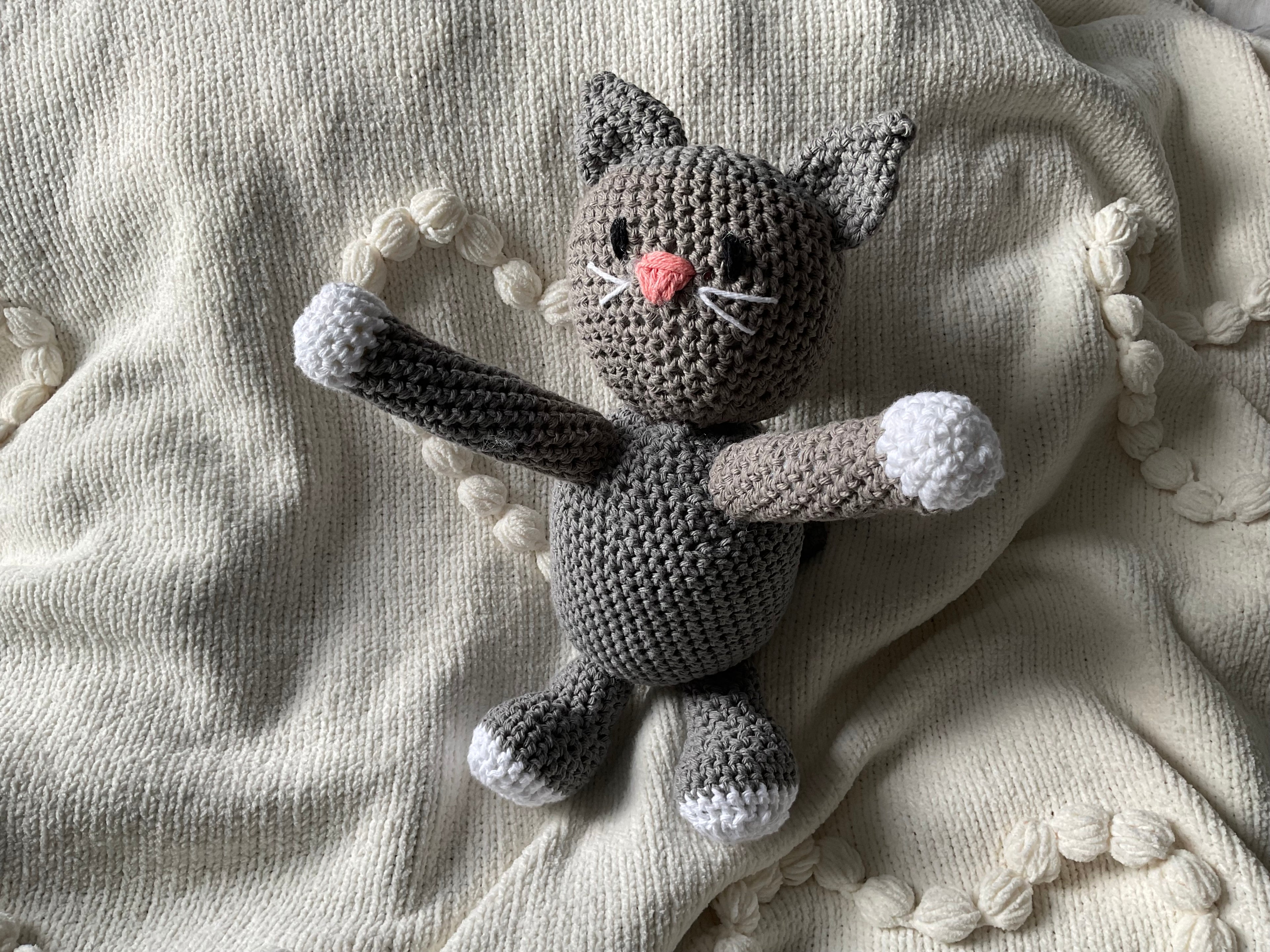 The “Purr-fect” Cat
