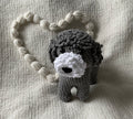 Noodle the Poodle